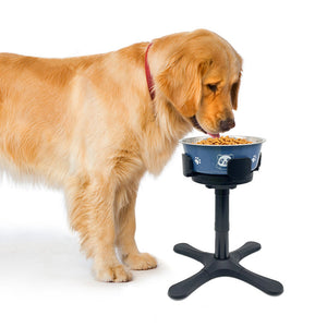 Elevate Your Pet's Dining Experience