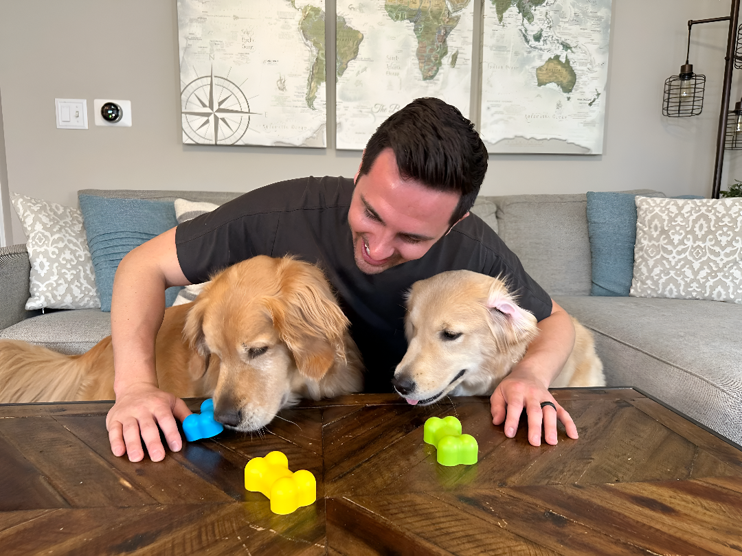 Fun Time With Engaging Pet Toys