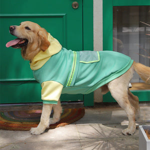 Why Your Pet Deserves the Best: The Pet Large Size Sweater