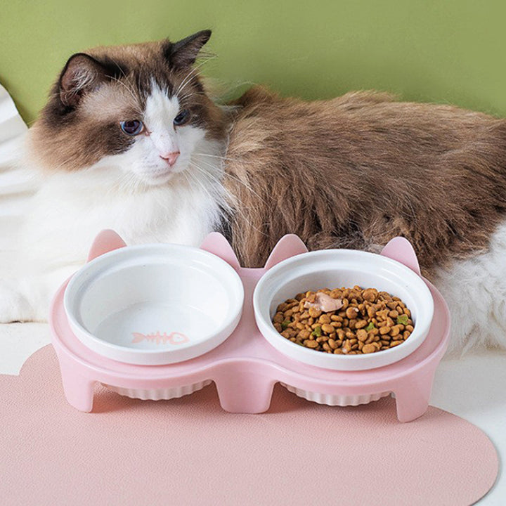 Ceramic Pet Double Bowl Elevated Water Feeding Bowl