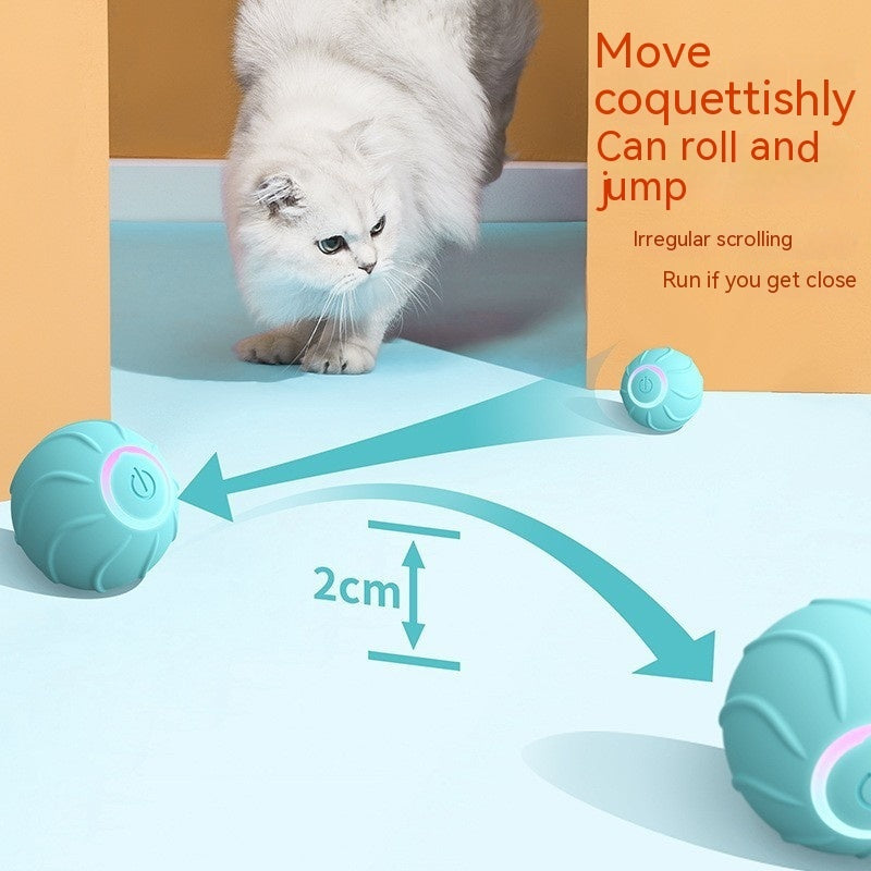 Smart Interactive Rolling Pet Ball Automatic USB Toy