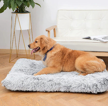 Plush Square Pet Bed Memory Foam Deep Sleep Sofa Bed
