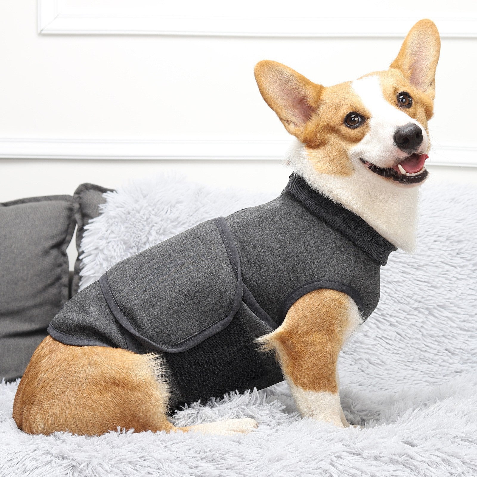 Pet Polyester Cotton Emotional Comfort Double Jacket Apparel