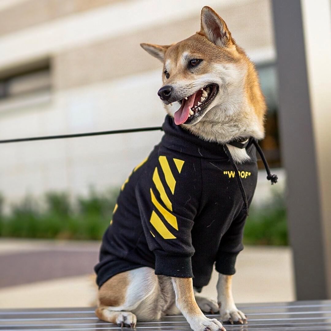 Pet Fashion Three Stripe Sweater Autumn Winter Sports Apparel