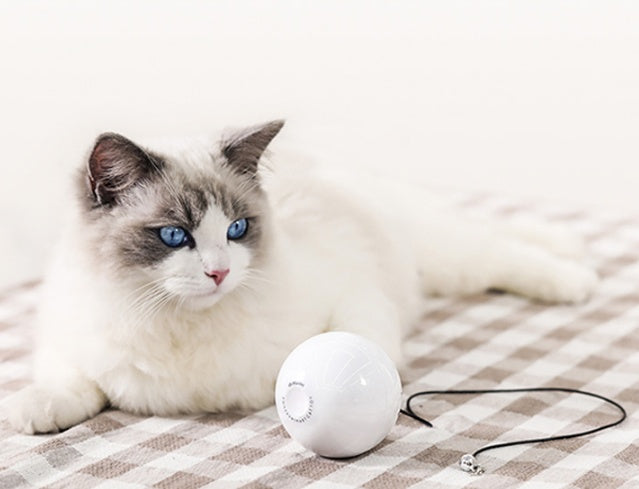 Smart Automatic Interactive Pet Rolling Ball Toy