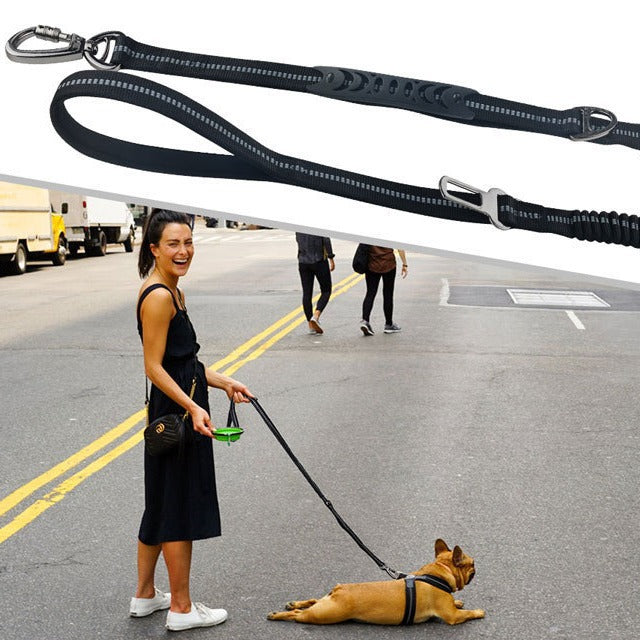 Car Safety Pet Leash Walking Travel Control Lead