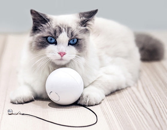 Smart Automatic Interactive Pet Rolling Ball Toy