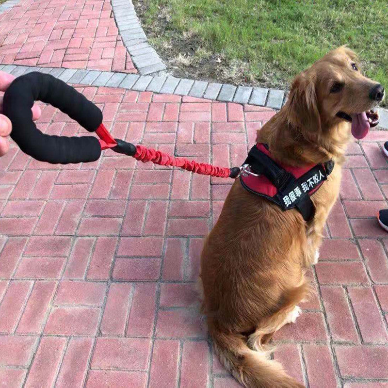Elastic Retractable Explosion Proof Pet Leash Lead