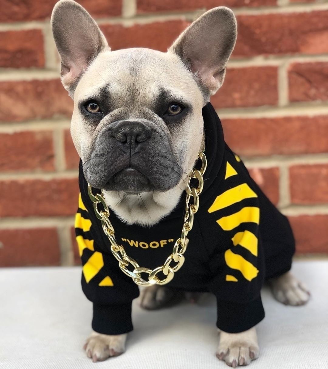 Pet Fashion Three Stripe Sweater Autumn Winter Sports Apparel