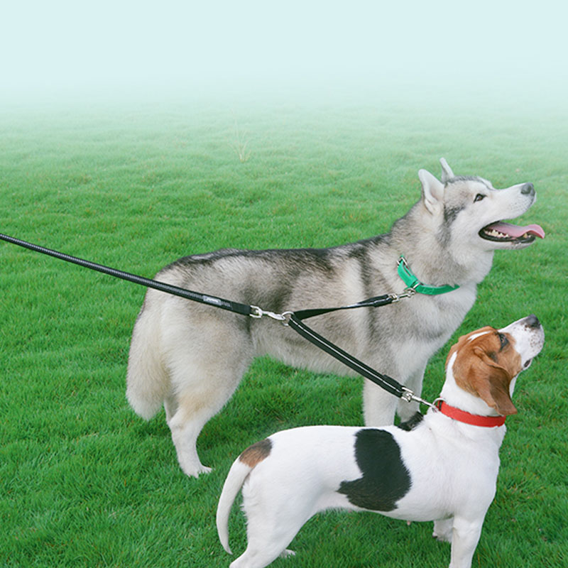 Reflective Nylon Dual Head Pet Leash One To Two Lead