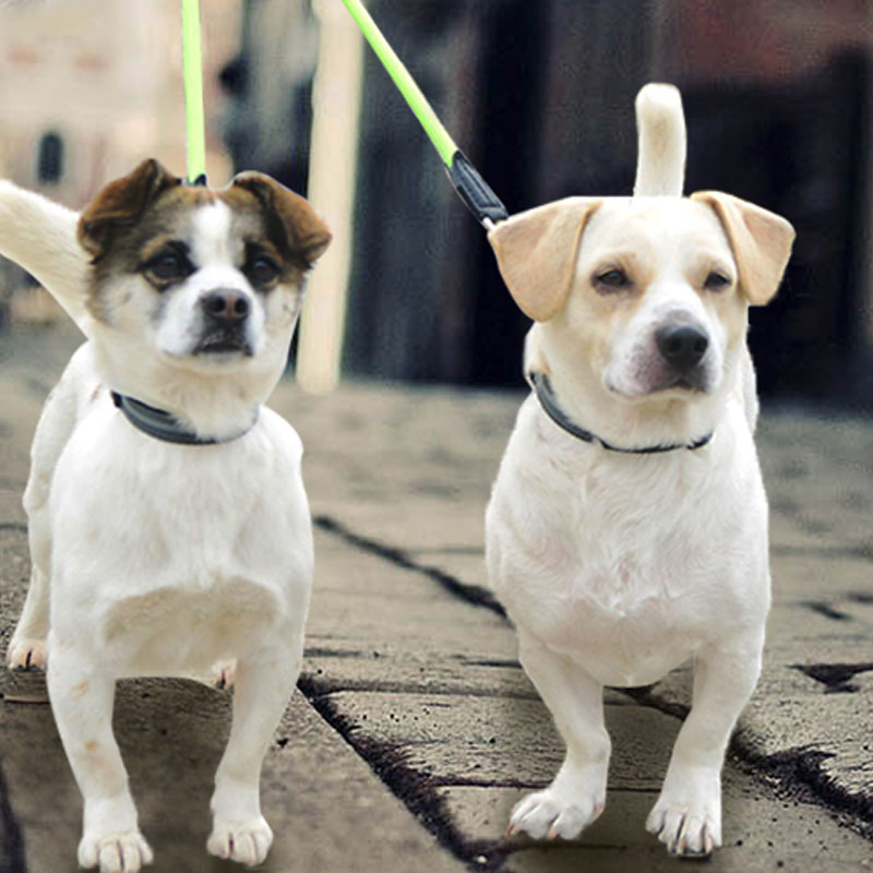 Reflective Nylon Dual Head Pet Leash One To Two Lead