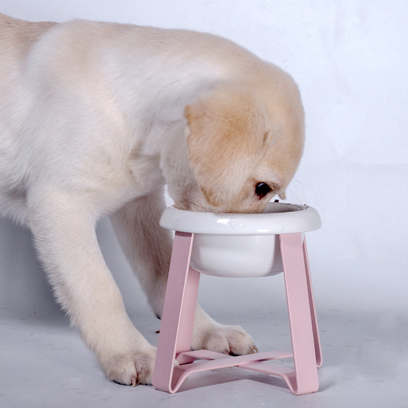 Pet Creative Anti Slip Feeding Bowl Iron Stand Dual Bowl Feeder