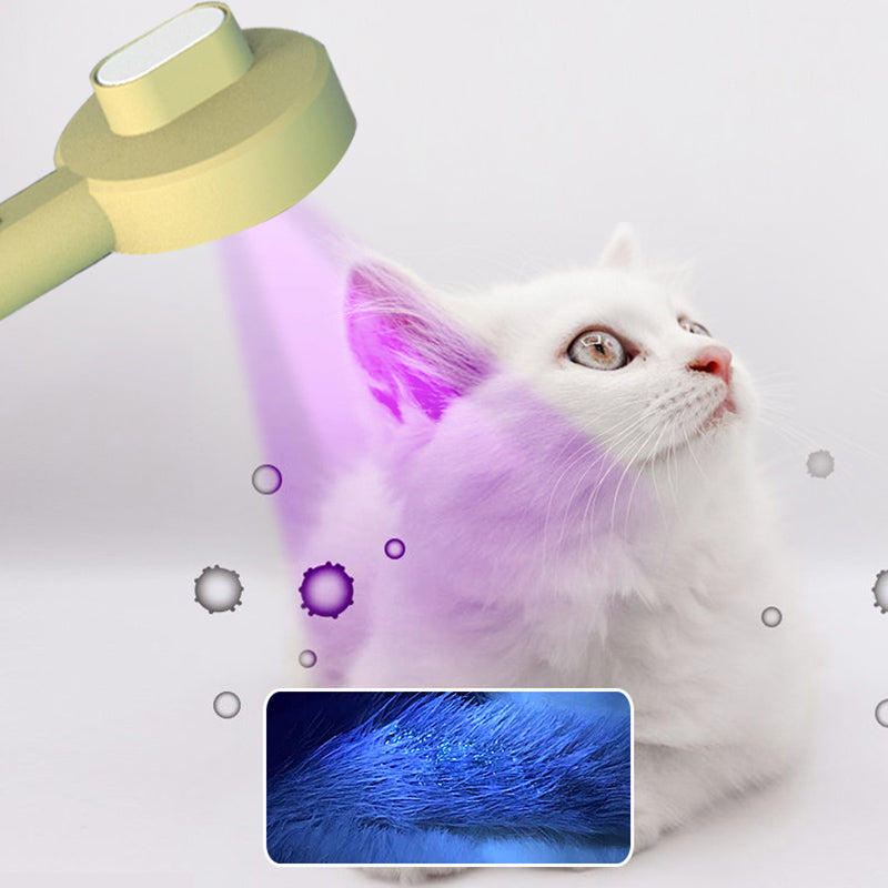 2 In 1 Pet Comb UVC Detection Grooming Hair Remover Tool