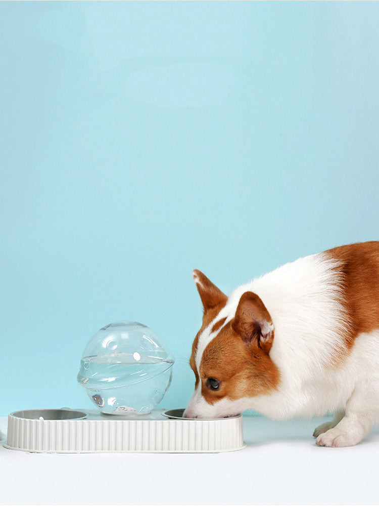 Automatic Pet Feeder Water Bowl Drinking Dispenser