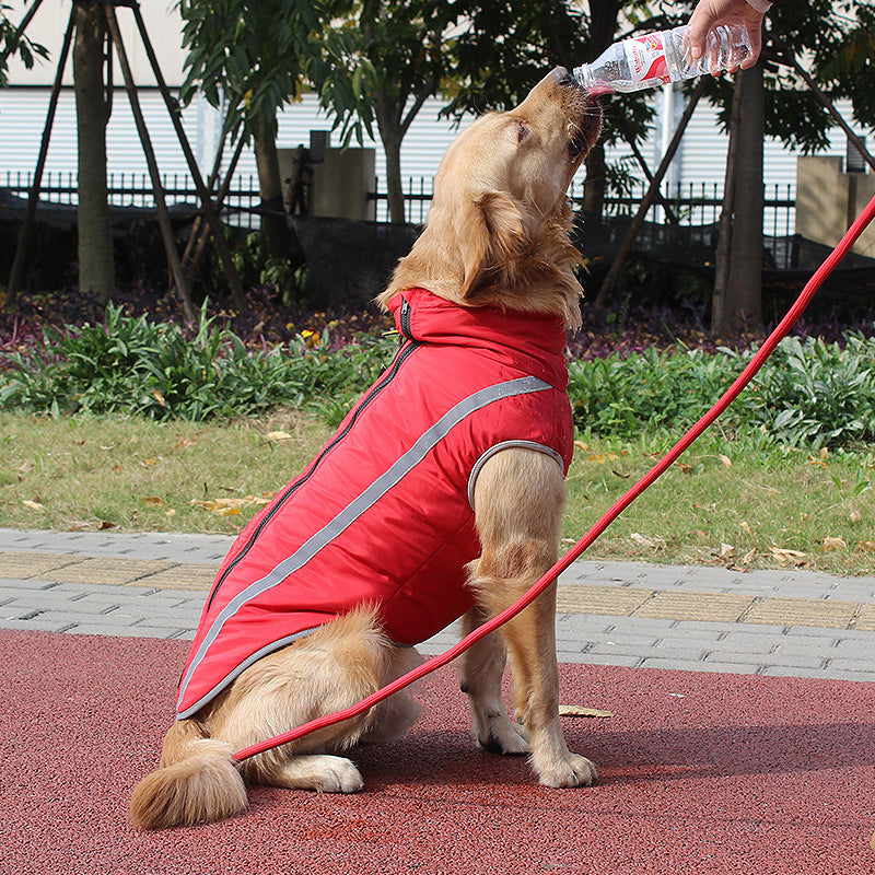 Pet Wholesale Winter Reflective Padded Warm Jacket Apparel