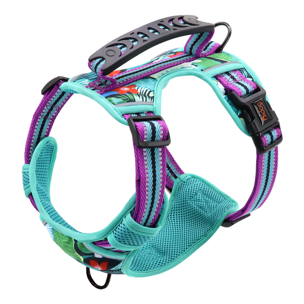 Adjustable Pet Leash And Chest Harness Set