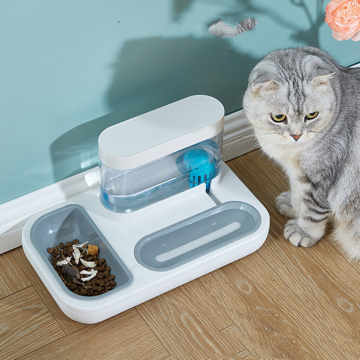 Anti Overturning Pet Automatic Drinking Fountain Feeding Bowl