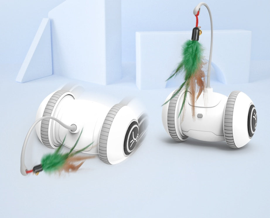 Interactive Pet Toy Interchangeable Feather Heads