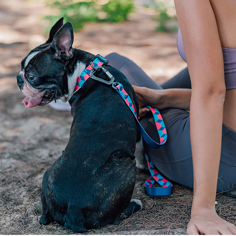 Ribbon Printed Pet Traction Rope Leash