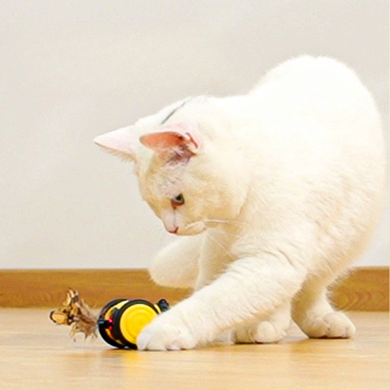 Electric Interactive Pet Toy Moving Bee Feather Teaser