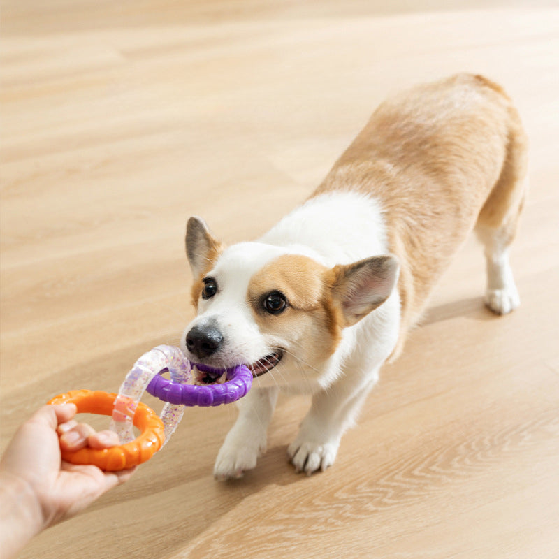 Floating Water Pet Flying Disk Training Ring Toy