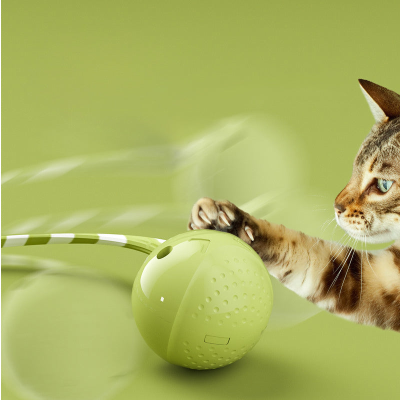 Interactive Electric Pet Motion Sensor Rolling Ball Toy