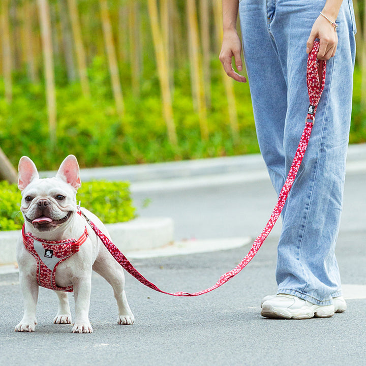 Pet Pull Rope Chain Durable Traction Leash