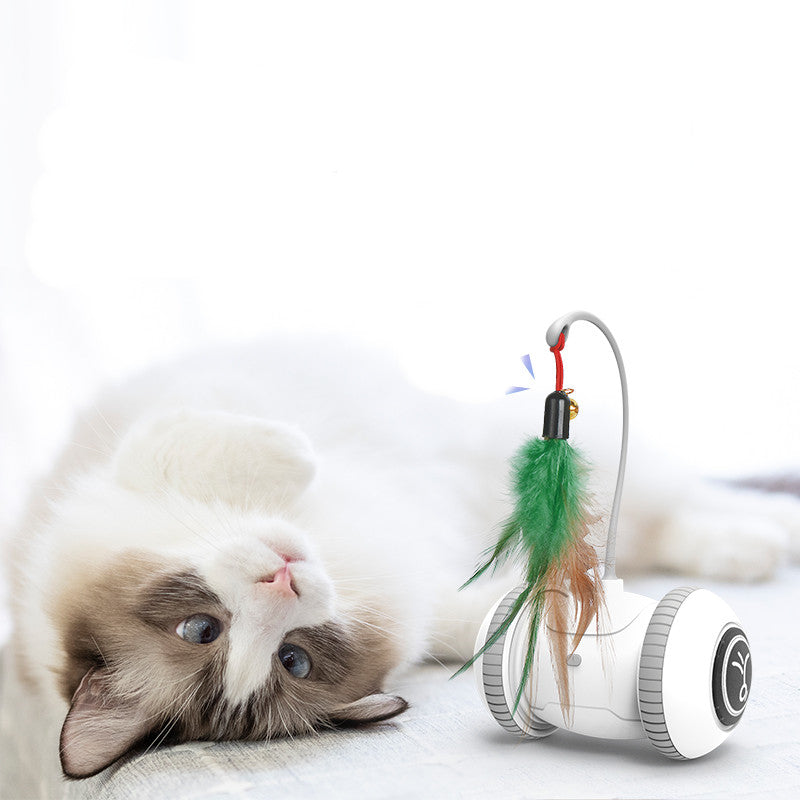 Interactive Pet Toy Interchangeable Feather Heads