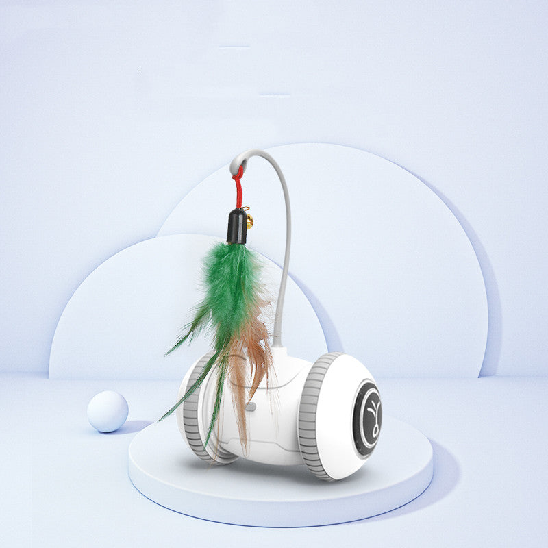 Interactive Pet Toy Interchangeable Feather Heads