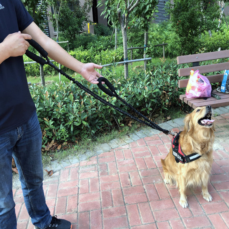Elastic Retractable Explosion Proof Pet Leash Lead
