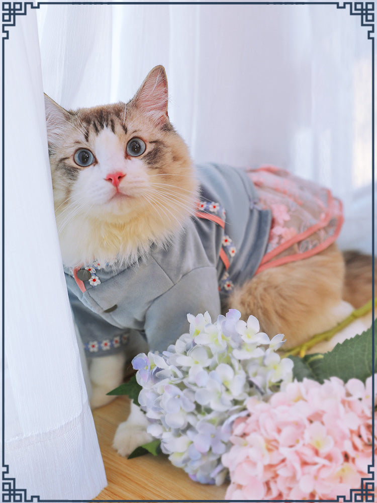 Pet Clothing Apparel