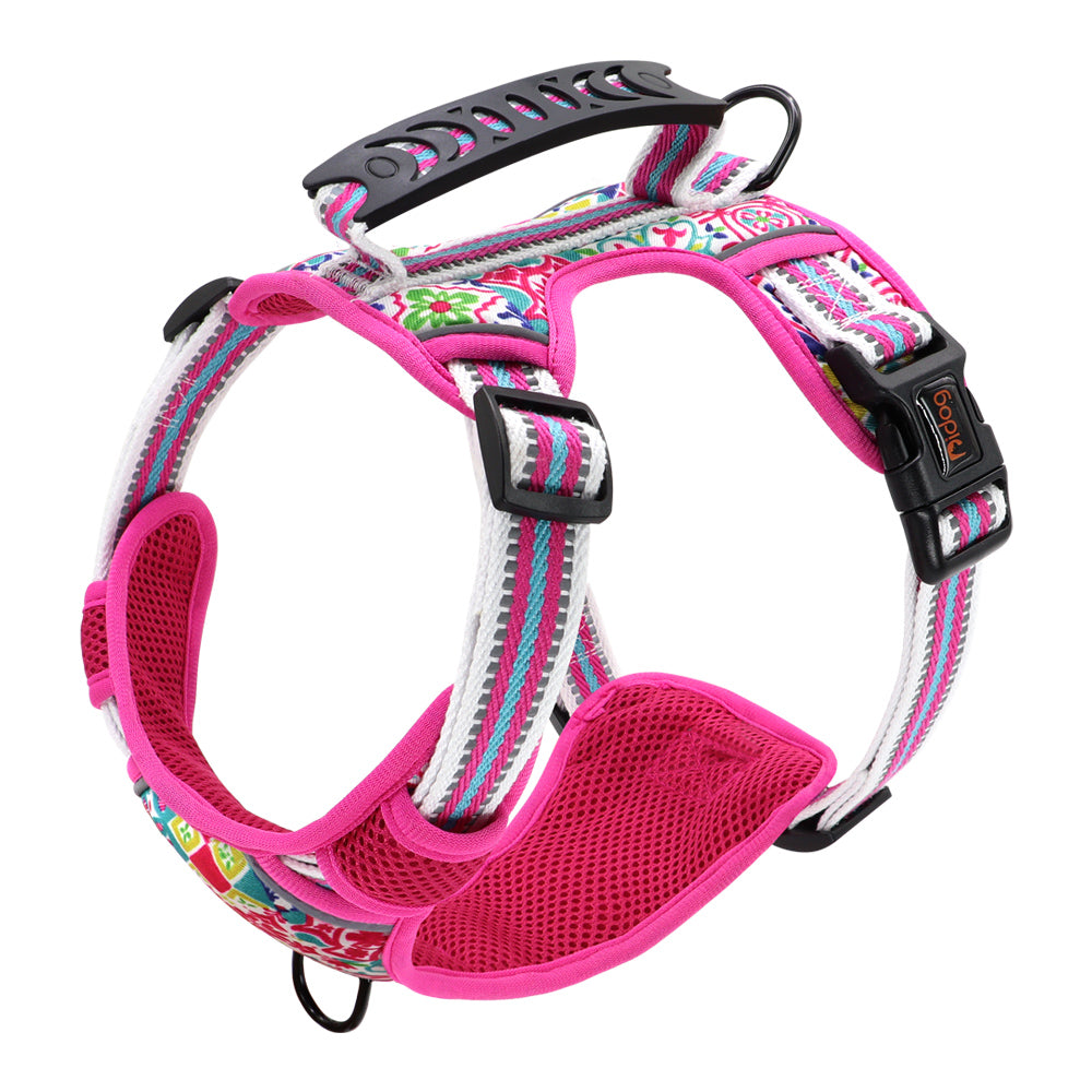 Adjustable Pet Leash And Chest Harness Set