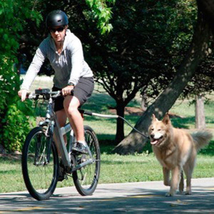 Elastic Bicycle Traction Rope Pet Safety Lead