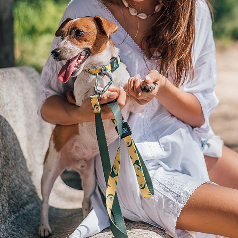 Ribbon Printed Pet Traction Rope Leash