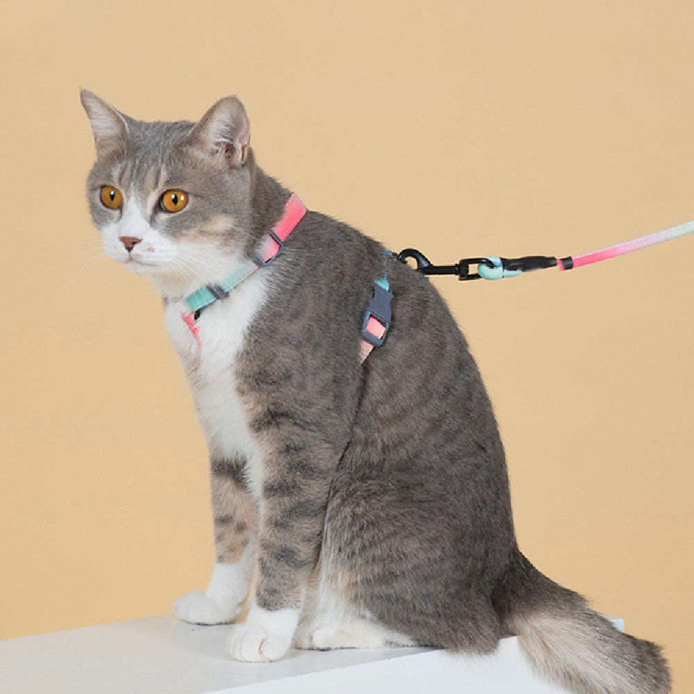 Fashion Pet Leash Anti Escape Secure Walking Lead
