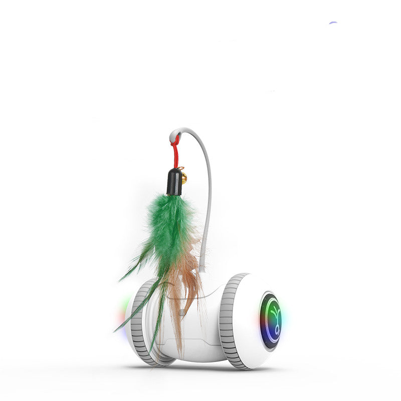 Interactive Pet Toy Interchangeable Feather Heads