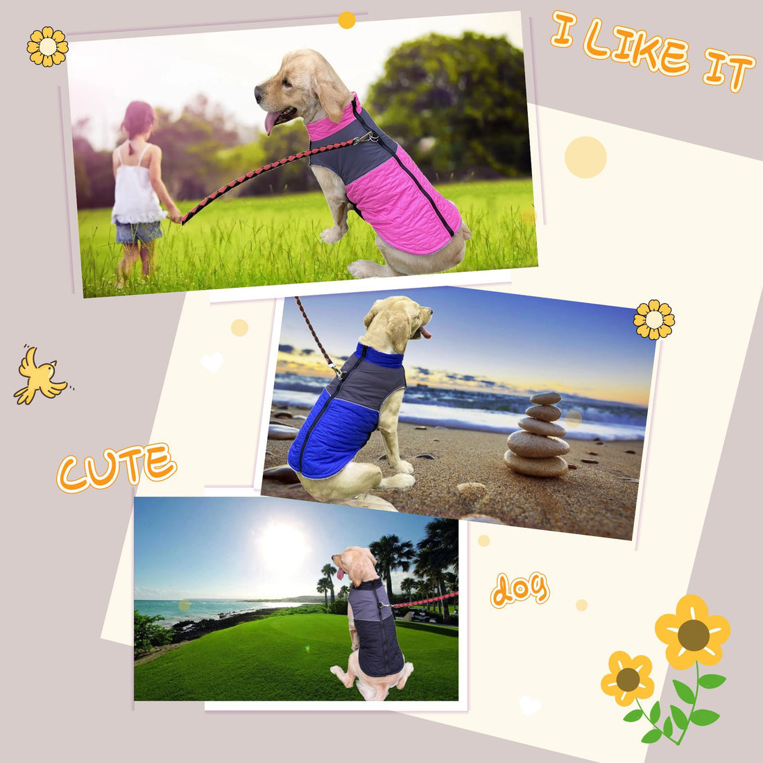 abcd1331c707c0b2bf1b7948d774c43e