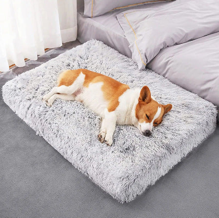 Plush Square Pet Bed Memory Foam Deep Sleep Sofa Bed