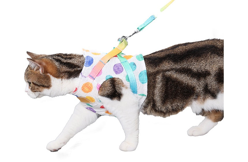 Small Medium Pet Chest Harness Leash Set