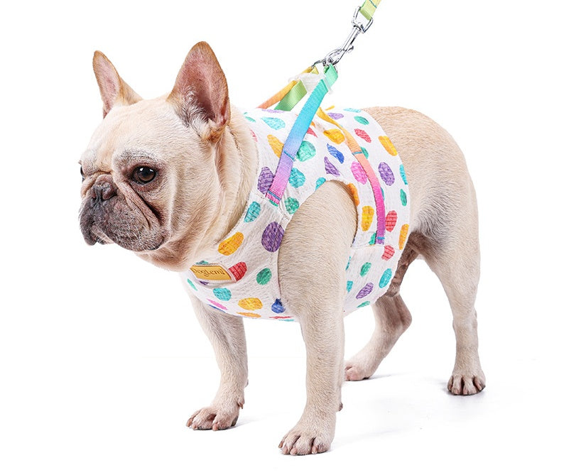 Small Medium Pet Chest Harness Leash Set