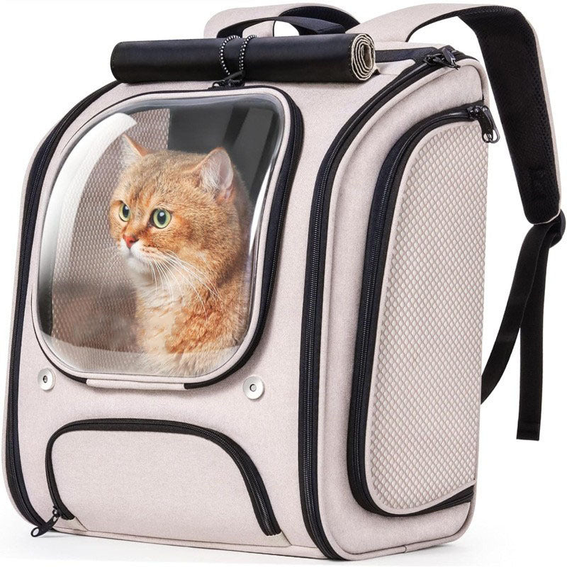 Portable Airline Approved Pet Fashion Backpack Carrier