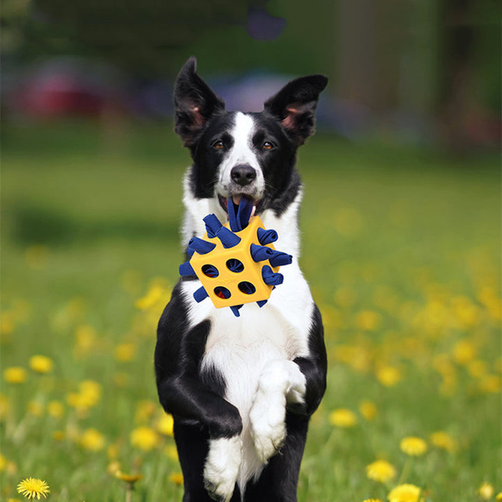 Durable Cube Chew Educational Pet Toy