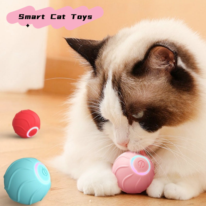 Smart Interactive Rolling Pet Ball Automatic USB Toy