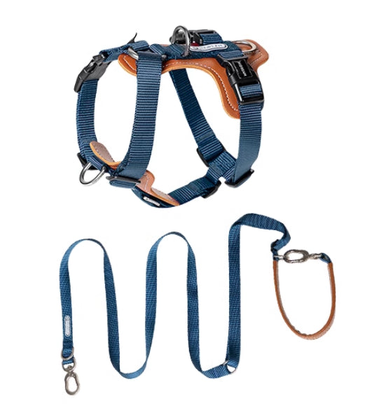 Explosion Proof Multifunctional Pet Rope Leash Chest Strap