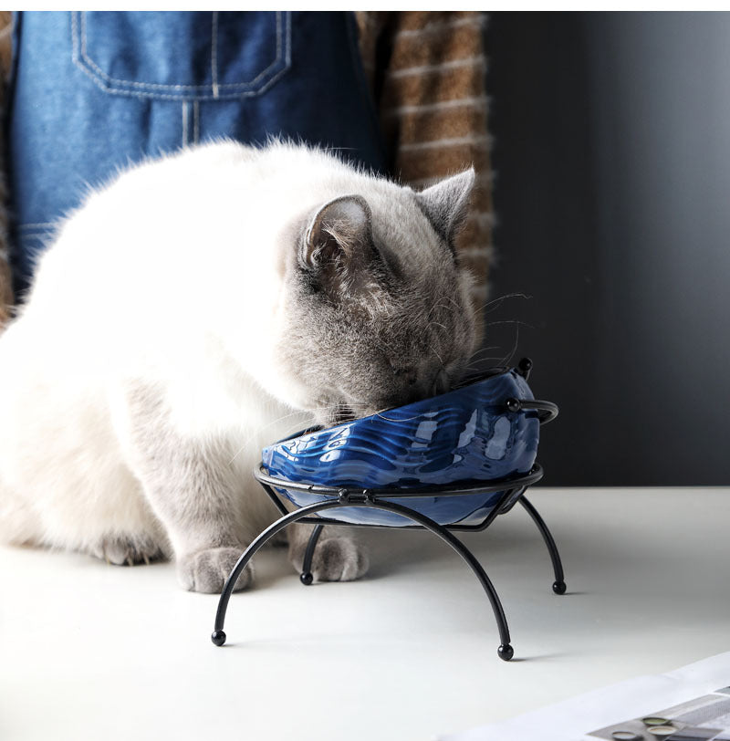 Pet Feeding Bowl Supplies Food Water Dish