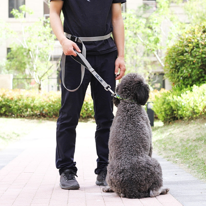Multifunctional Pet Running Traction Leash