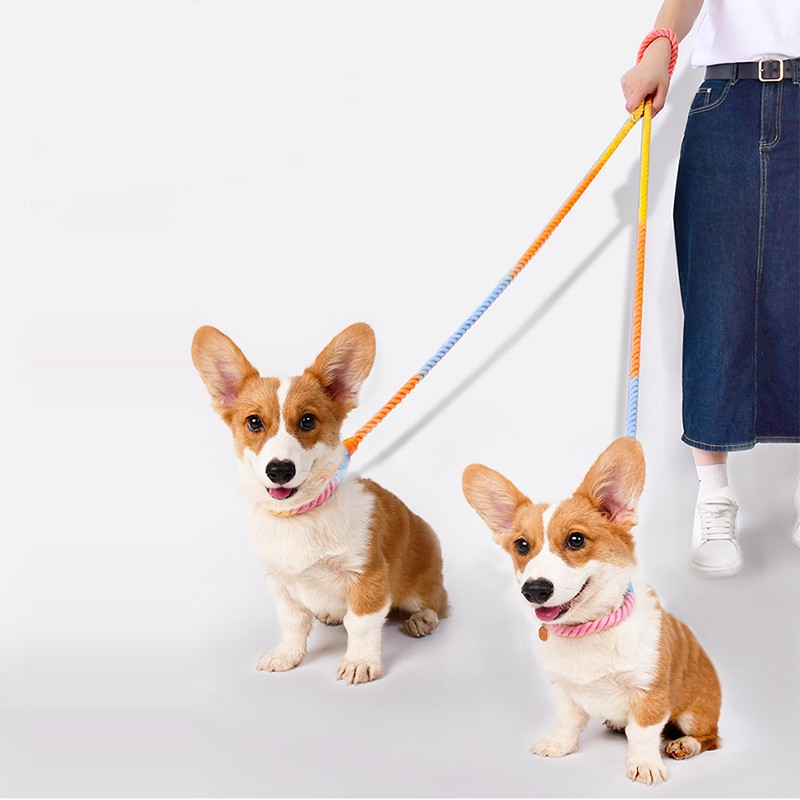 Dual Head Multifunctional Pet Leash Traction Rope