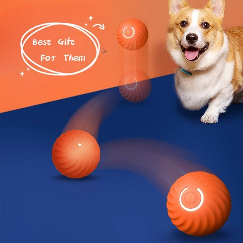 Durable Rubber Pet Chew Ball Training Toy