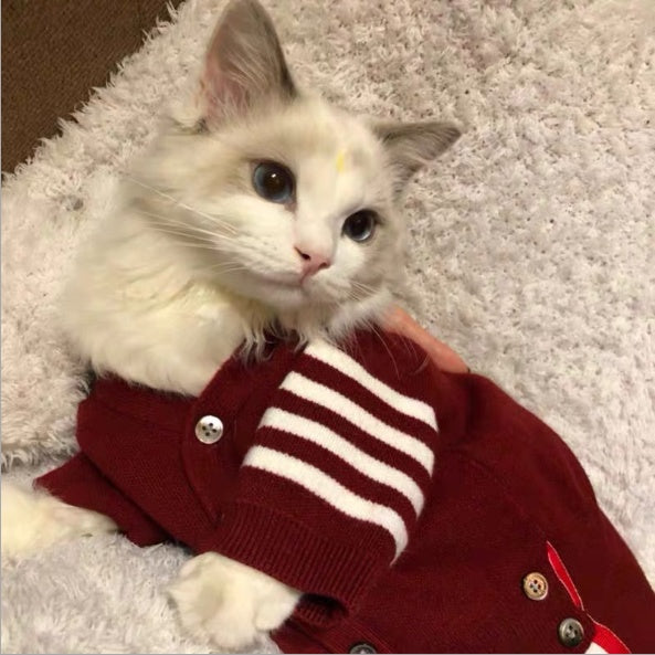 Pet Clothing Apparel Outfit