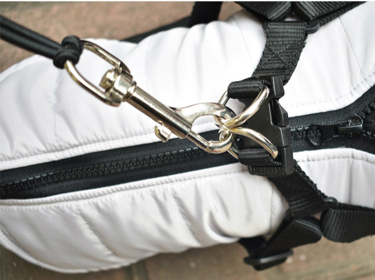 Elastic Bicycle Traction Rope Pet Safety Lead